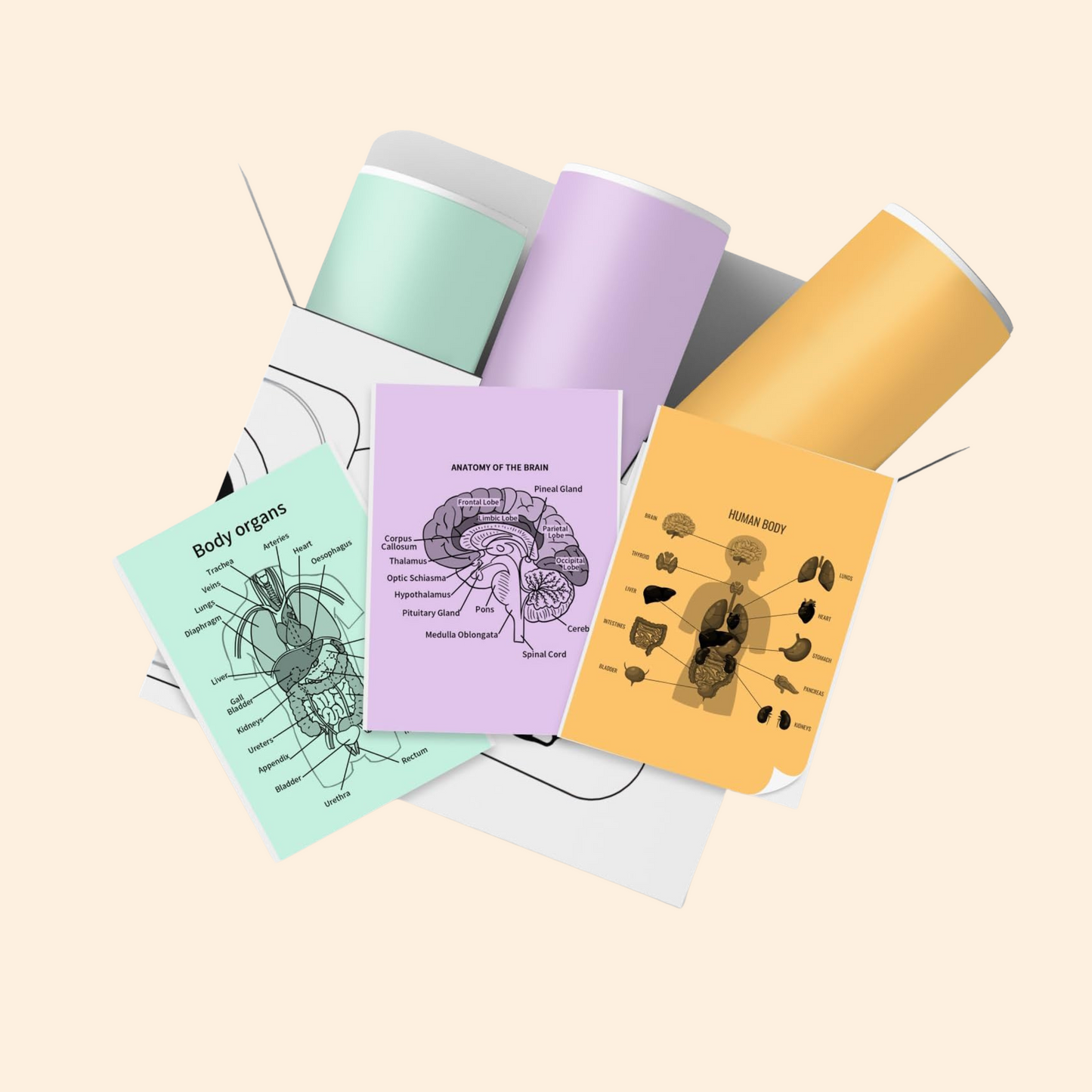 NestTech™ Family Bundle